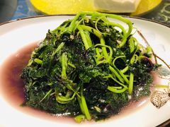 清炒苋菜-梁溪河畔·吉府花园(南长街南下塘店)