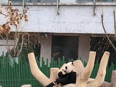 -沈阳森林动物园