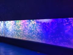 -左海海底世界