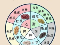 -WISEFIT健身&拳击(CBD店)