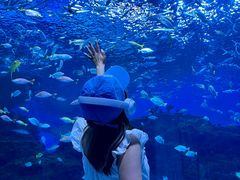 -海合安成都极地海洋公园