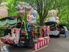 -上海市实验学校