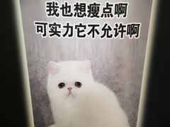 -85度C(北京八角物美店)