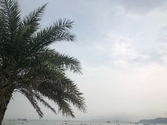 -渔寮风景区