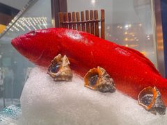 -丰卓会海鲜自助(中润大道店)