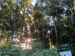 -火炉山森林公园