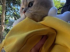 -瑞派康怡24h宠物医院·犬猫医疗中心·微创绝育(瑞景分院)