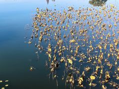 -洪泽湖古堰景区