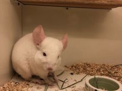 -龙猫仔乐园(惠福东路店)