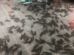 -虾胡闹龙虾馆(湄南河店)