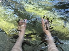 -惠州金海湾嘉华度假酒店