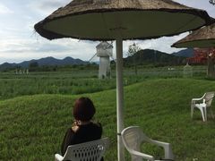-北京东方普罗旺斯薰衣草庄园