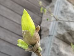 -天津东丽湖风景区
