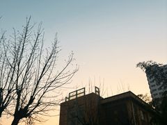 -大树餐厅(益田假日店)