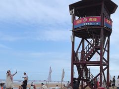 -日照海滨国家森林公园