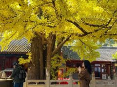 -红螺寺