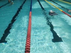 -重庆市奥林匹克体育中心-游泳跳水馆