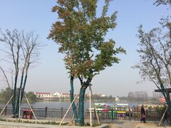 -上海长兴岛郊野公园