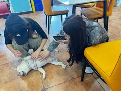 -李哥海鲜烧烤家常菜(孔雀城店)