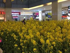 -天虹购物中心(石路店)