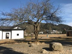 -井冈山风景名胜区