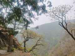 -北京鹫峰国家森林公园