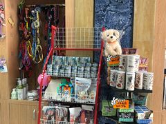 -瑞派名望志远动物医院·猫科·內科·异宠专科(直港大道店)