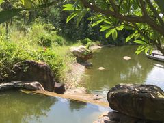-广东花都湖国家湿地公园
