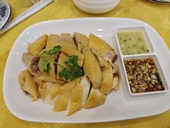 -巫记鸡饭店