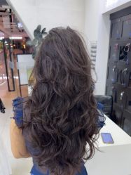 -FINE HAIR 烫染专业设计