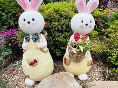 -上海共青森林公园