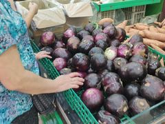 -聚家乐生鲜超市(枫林路店)