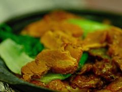 牛腩煲仔粉-汇豪轩(光明东路店)