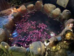 -北京益泉花园酒店