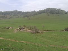 -关山牧场王师烤全羊