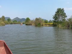 -会仙湿地