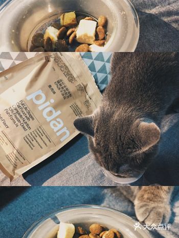 养宠物的朋友可以试试这款猫粮