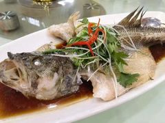 -南庄酒家·海鲜粤菜·25年老字号(环城南路店)