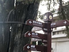 -黄帝陵
