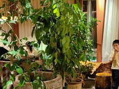 -慢丽江·云南野生菌土鸡锅(付家庄店)
