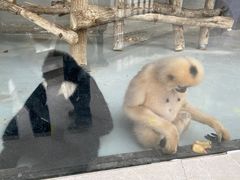 -太原动物园