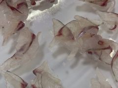 -八仔大富楼·河鲜(西江店)