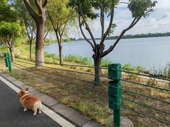 -漕湖湿地公园