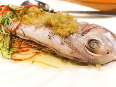 -澳门西南饭店·粤菜·茶市·手工点心(华海路店)