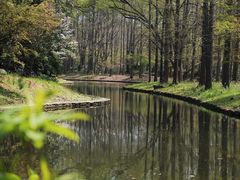 -上海共青森林公园