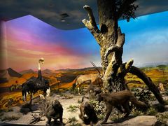 -国家自然博物馆