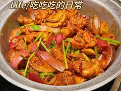 -禄婶鸡煲·打边炉