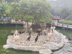 -大连老虎滩海洋公园