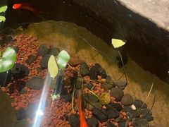 -杭州君悦酒店·湖滨28中餐厅
