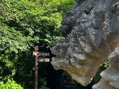 -山王坪喀斯特国家生态公园